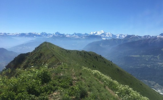 Résultats - édition 2025